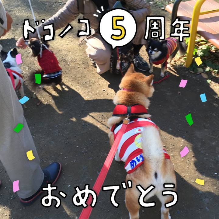 2194dcac f60d 4dca 8eef 6931892d9e39 1622943191245