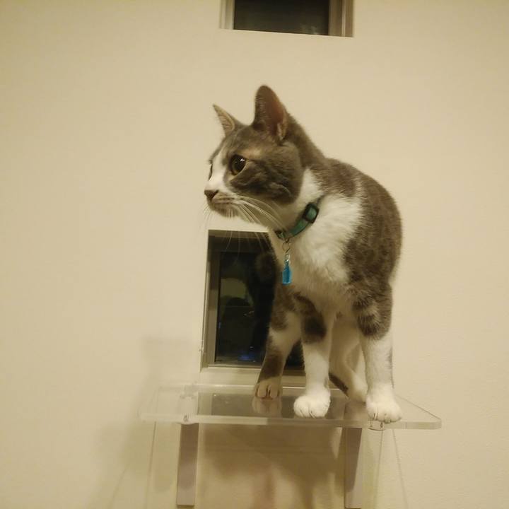 2194e2d2 532c 449f 8761 9634fa6bbd1e 1587560826299