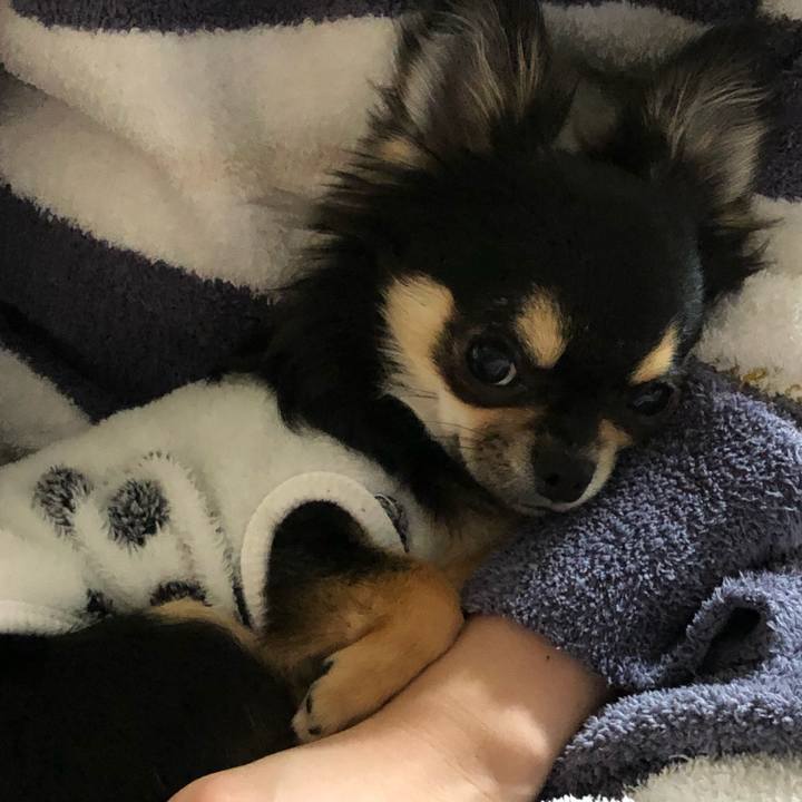 2194f2e9 0528 4016 9992 1f507629cf6c 1546432405321