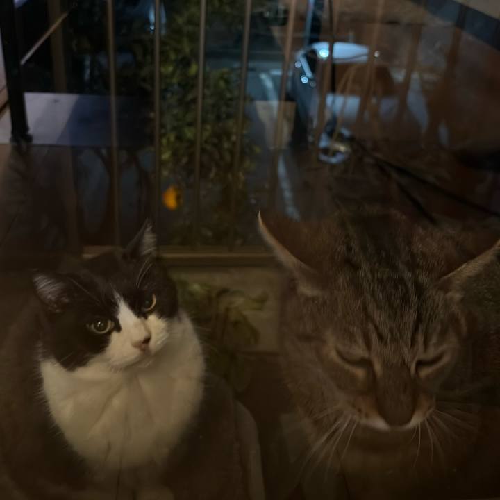 21951278 797e 4eae 8605 ecd0de5c09a9 1767440409174