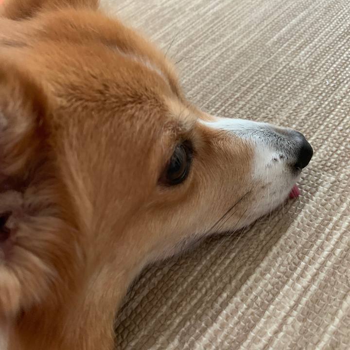 21952840 52e8 4ab3 bdcb fdc3bbe04a9b 1567396409596