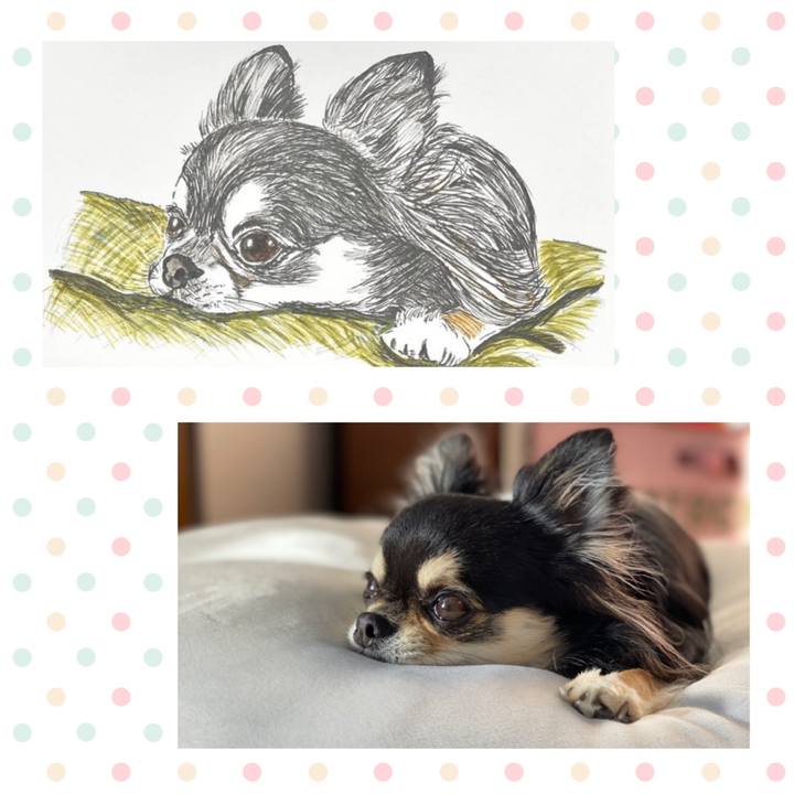 2195585b f61a 4b8a a024 ad03021ba8bb 1641696271354