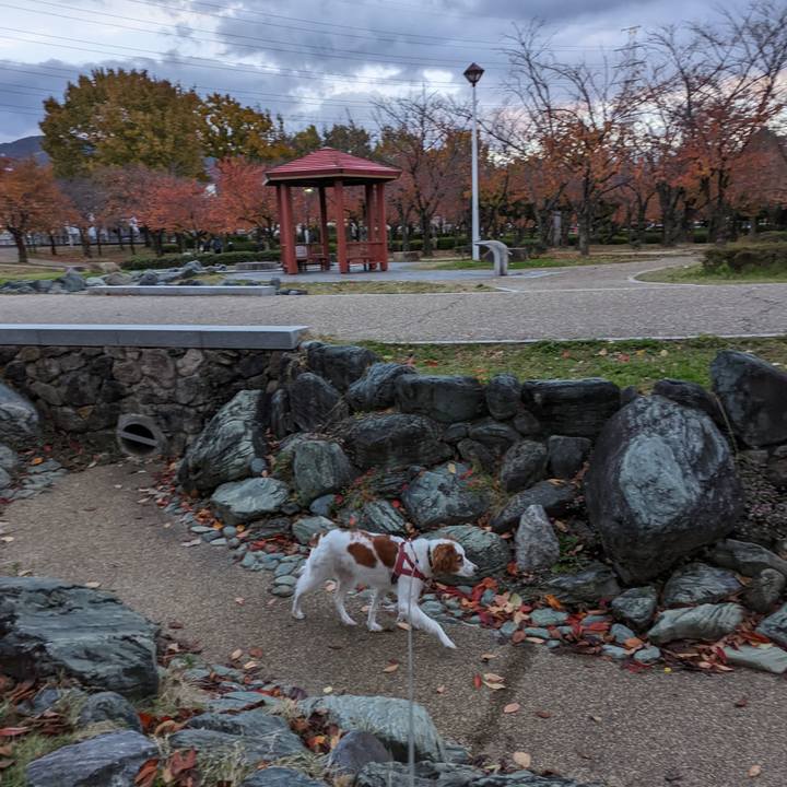 2195a14f 4cd9 4175 b525 0fcfd5516f30 1637661061245