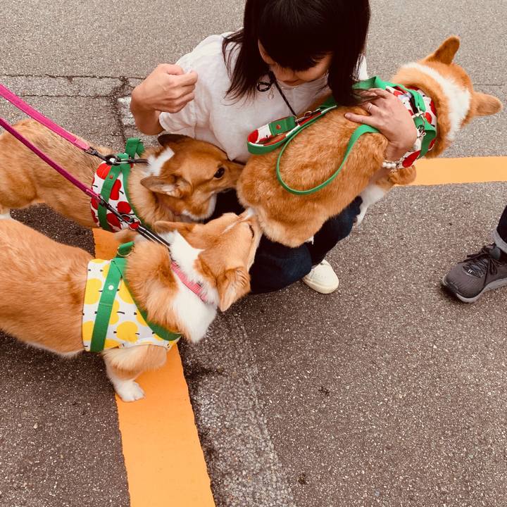 2195d00d 0f22 4212 a039 ced46ecb6fa4 1568973376838