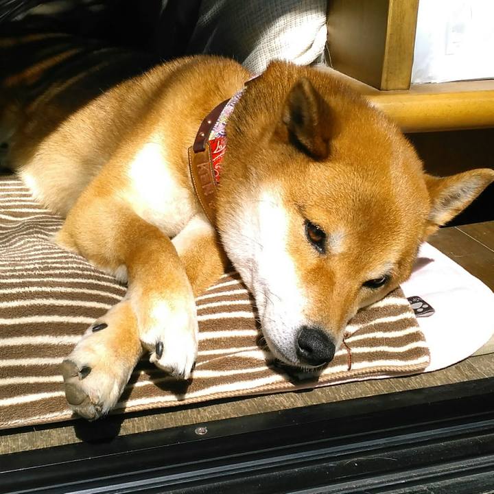 2195eae8 a6b5 4ab7 a4c1 36bd62c06805 1520046771467