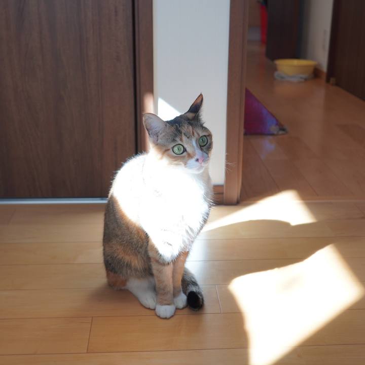 2195ebe8 5449 468d 8070 76d6b65a9d51 1667828314394