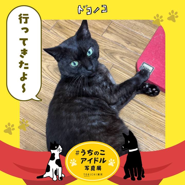 2195efad 9fc6 445f 9718 da85649770a3 1761116145532