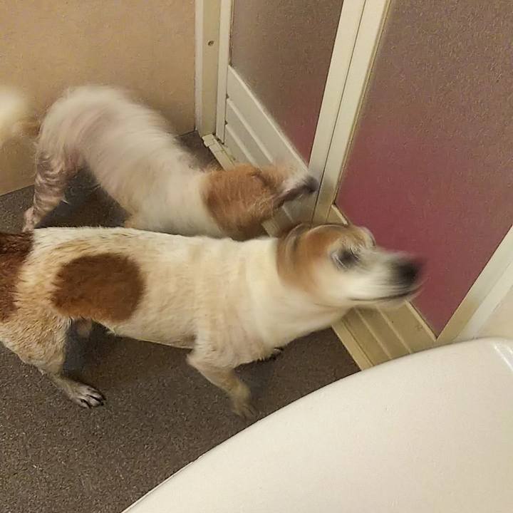 2195f8ce 55d7 4cb2 94a3 3c3f3f50ee07 1546262863307