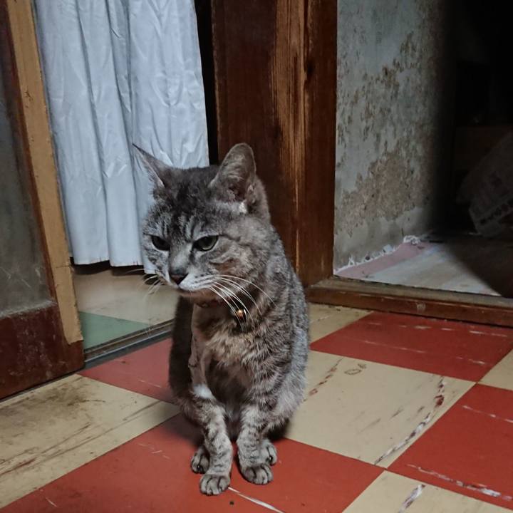 21963163 1aff 4718 8490 6ed2b8dae872 1588536353901