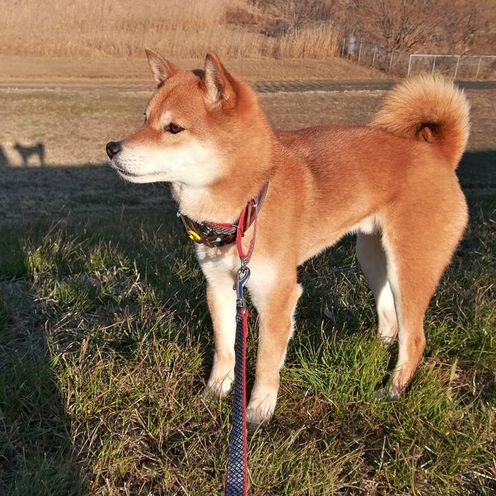 219644cd 6537 4864 a0c1 4de48512ad06 1581406554793