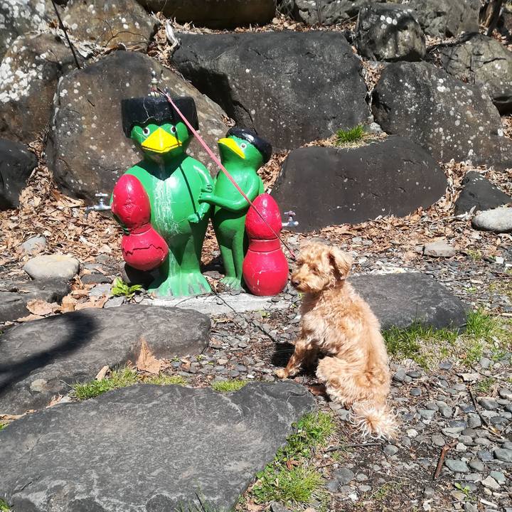 219660ad 4cbb 4657 a29e 2c50f7729231 1556750921702