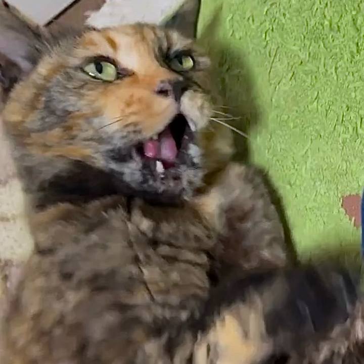 21970687 9abe 4476 bd78 98e9156491ba 1745660091811