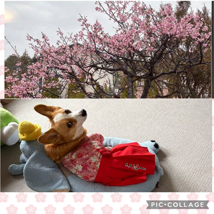 21970b7d 5300 4049 bd01 9f2a2521489f 1772502737538