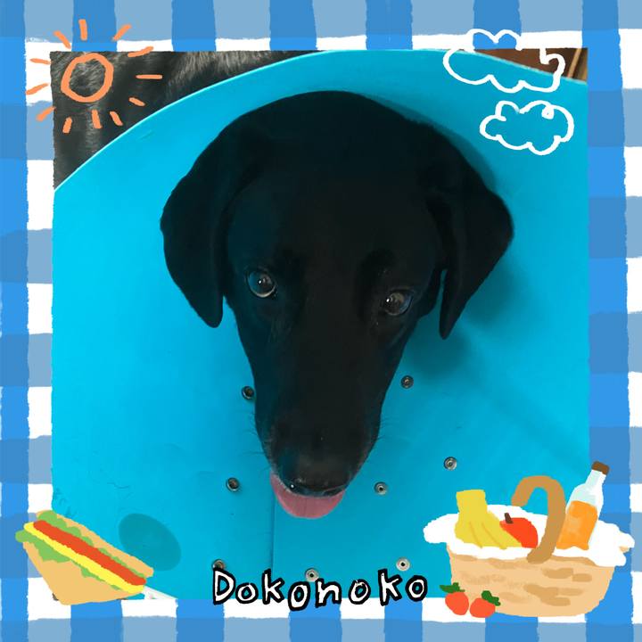 219729c5 c1ca 48bb 888a ab8a372da8a2 1744696864844