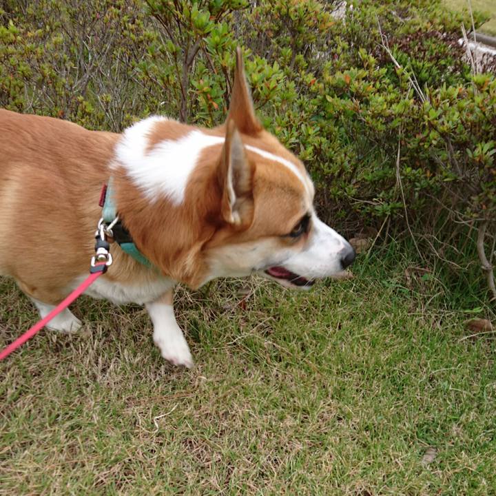 21976bf2 8d0e 46fb b92c bfea616563ea 1604641633970