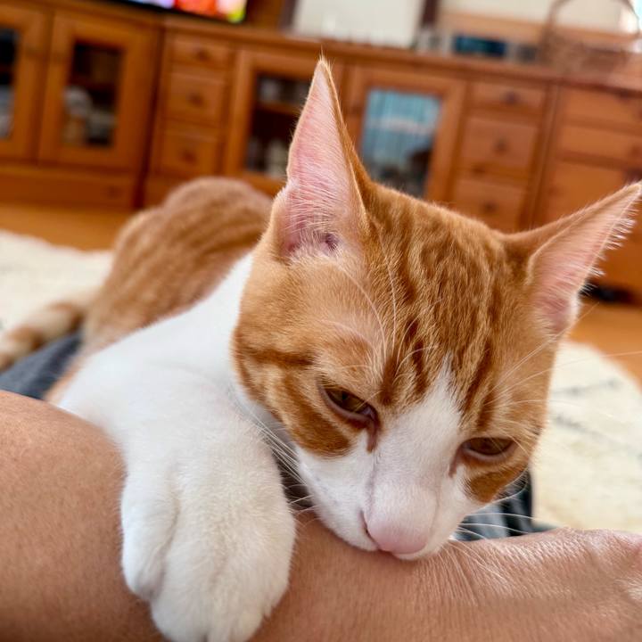 2197c11e 5bbd 4c0b 8f99 d67c3c40aae4 1761024459810