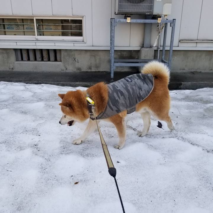 2198264f 5531 49bb a047 77cd38e8bf02 1648613613965