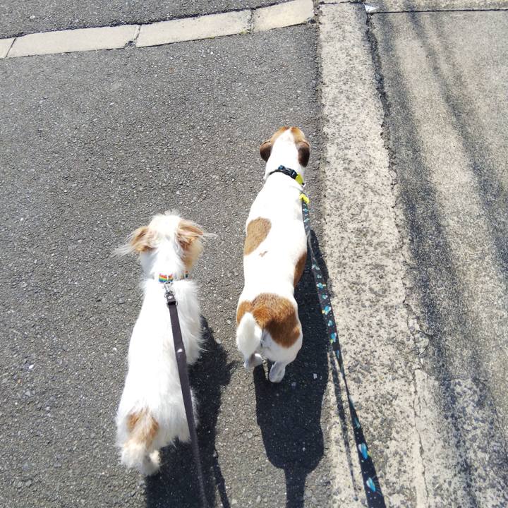 21985556 1d2e 45d5 a336 3ed696fa154d 1527392058418