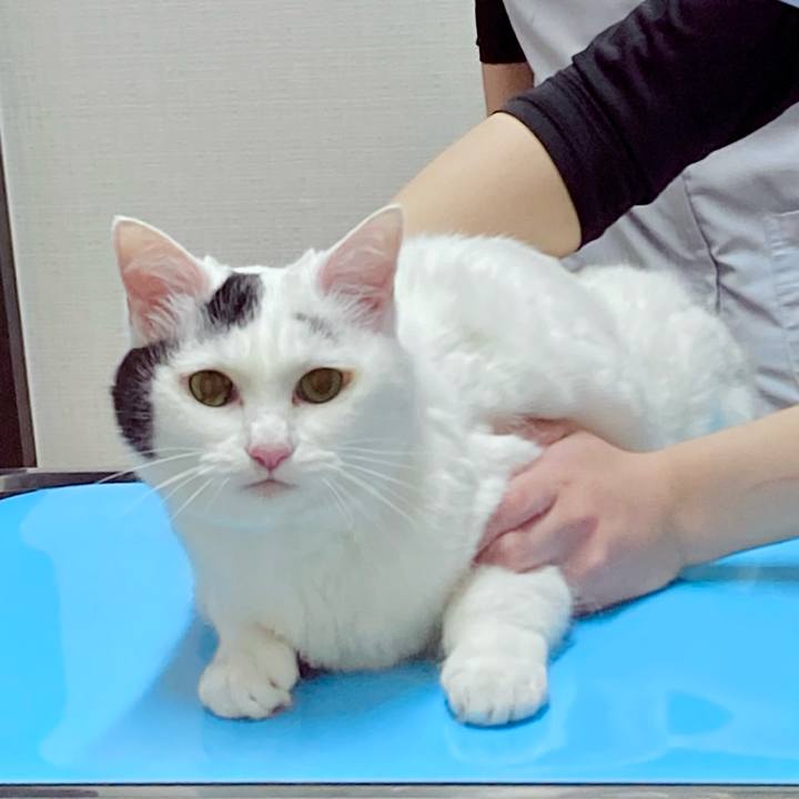 21985d31 af04 46cc b94d aa7bb74706e0 1649050627996