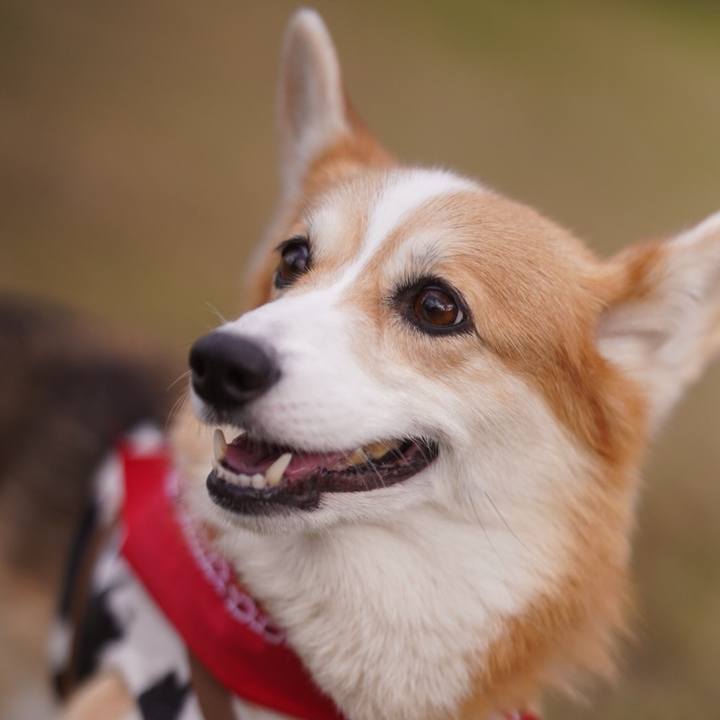 21987bc9 b25a 4a8d 9c52 5c9516de05ab 1765340686730