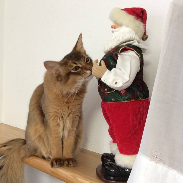 219889e0 eae0 4447 b95c 0d97182b33cd 1577335393437