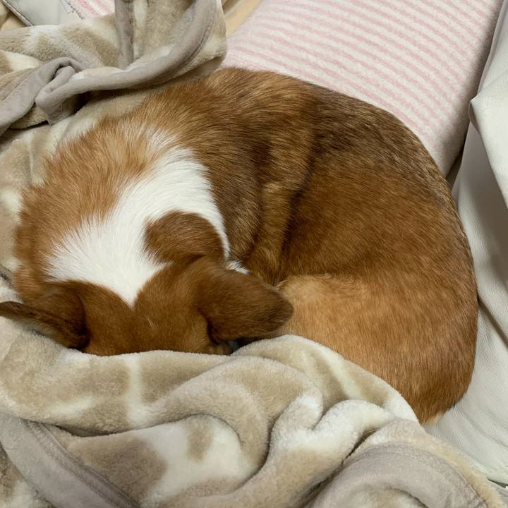 2198acef 4253 43d2 ae56 2f79f4aa9bab 1610768027170