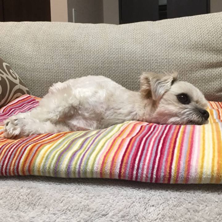 2198c0b0 9669 4314 a370 a0e3da16903e 1514893554178