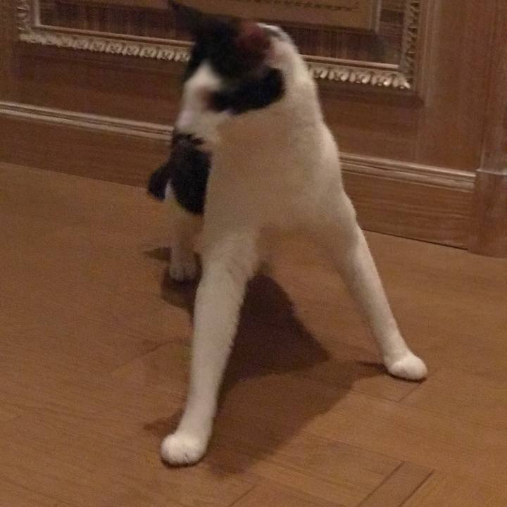 2198c0fd 0ea7 4d5f b014 f2d0854ab1a7 1536876469613