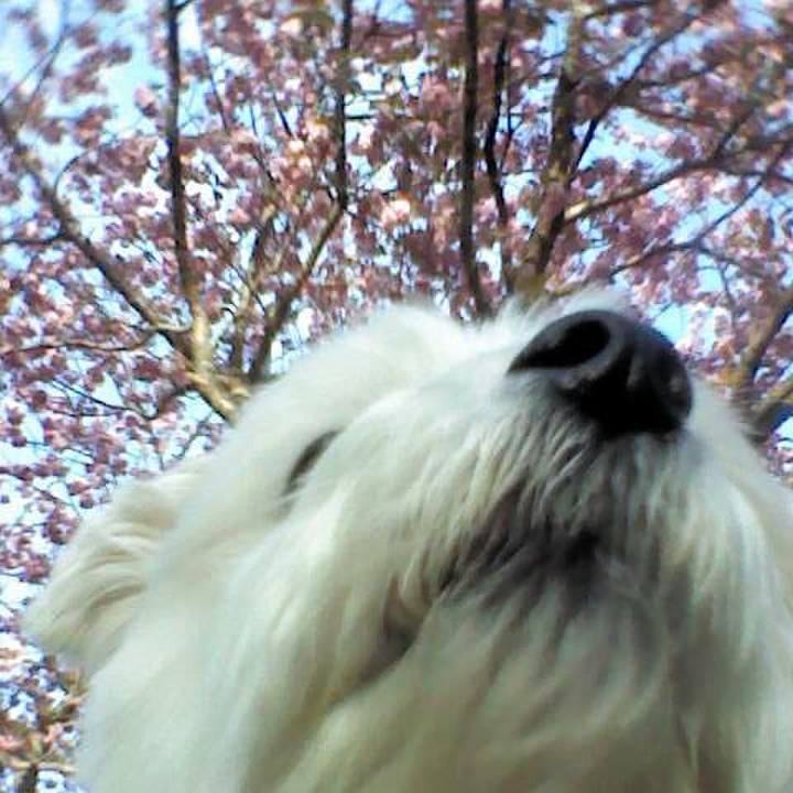 219908d3 7795 441a 83af 5bea1be5f4ad 1523366082610