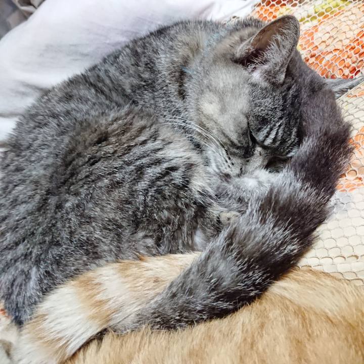 219954ff 00b9 4971 ab72 67623965af1c 1572871143496