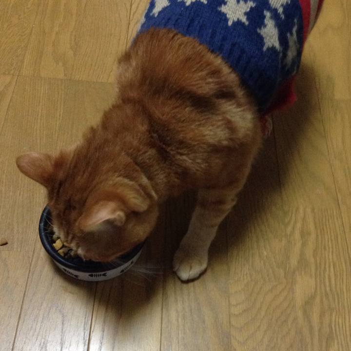 21999be1 1fa0 4809 bb4f 498efbbc0bbd 1542230520406