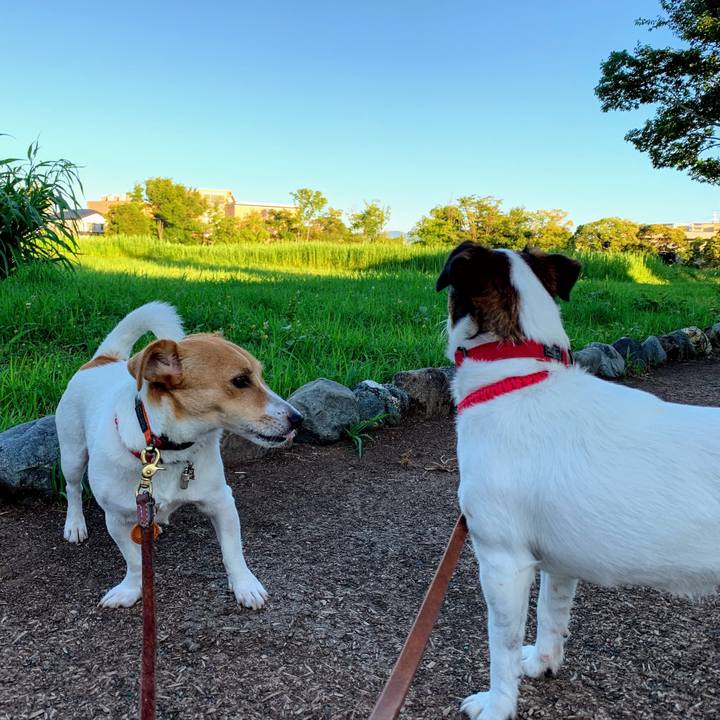 219a2214 2c74 4eb1 a2ba 6199a1ed7c35 1564955283046