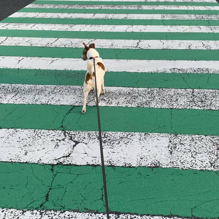 219a3ab5 0219 4aaf ab6c ad748101d726 1595152090547