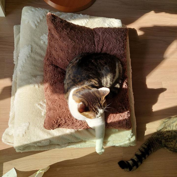 219a5eb8 7ef0 4360 8b7e 265c584aafbb 1698887908125