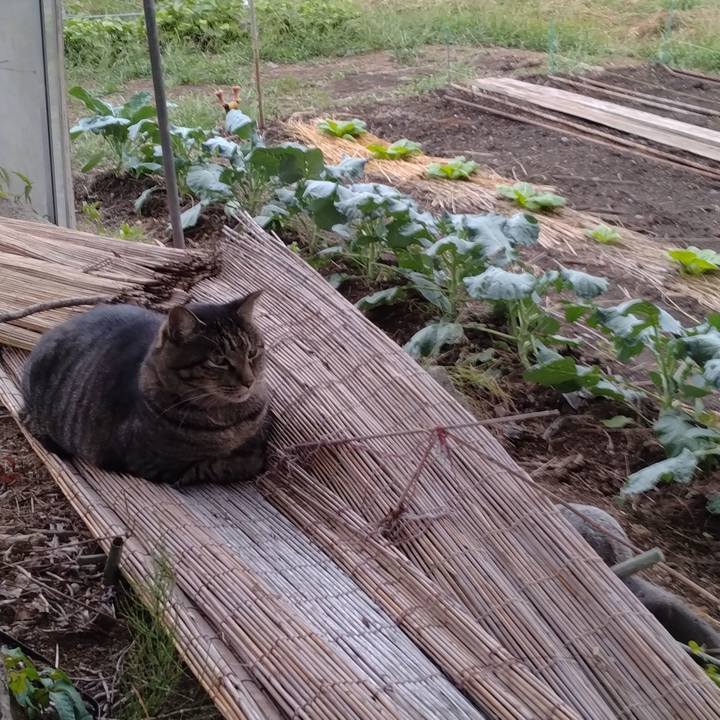 219a61b4 4009 4611 bd09 e7c060e64f6f 1694168458957