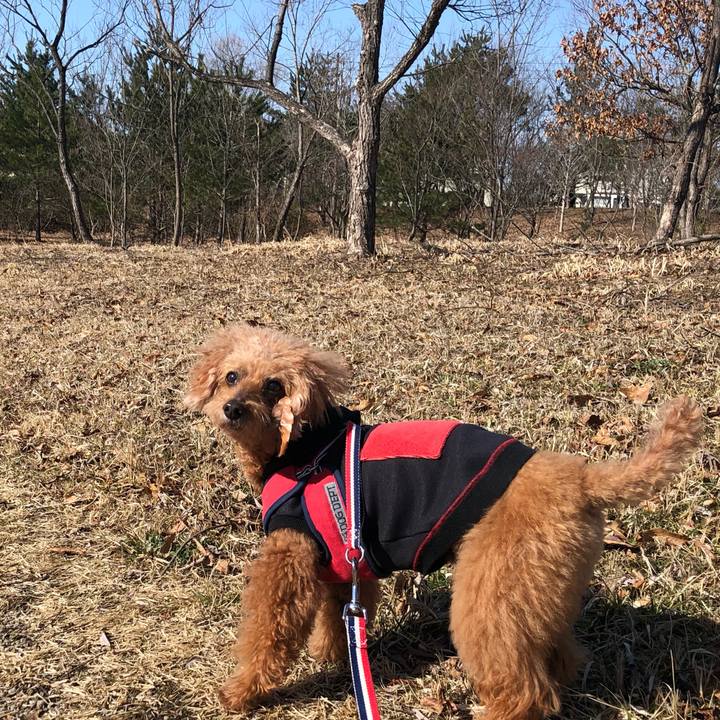 219ab8ec 9c55 4d31 b610 f0117601df30 1614485585797