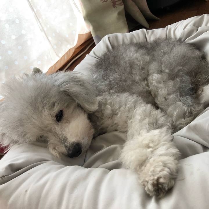 219ac208 aacc 4bed 9747 c7795f962a16 1630977607543