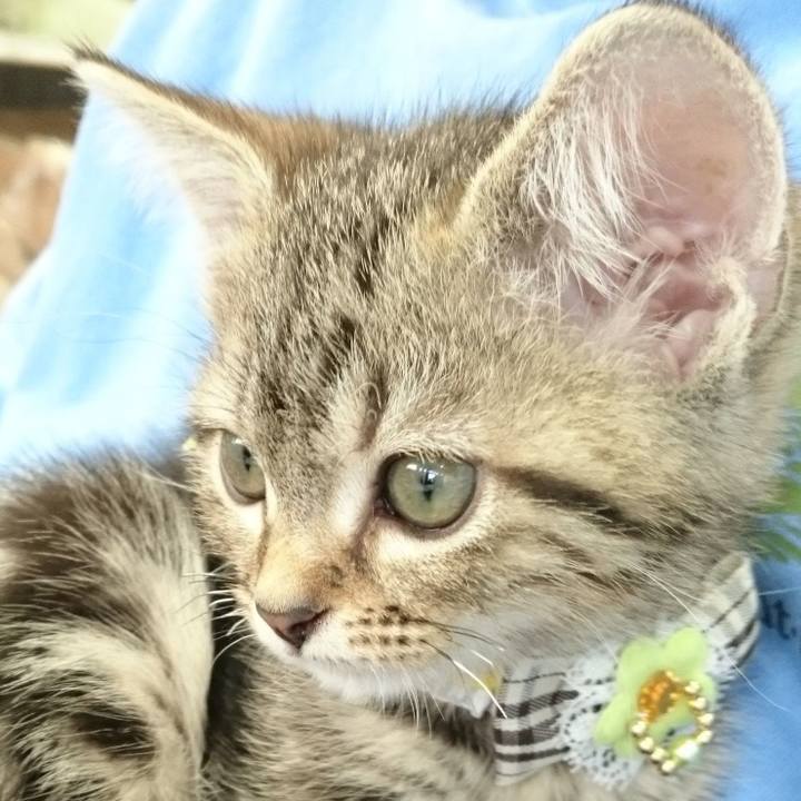 219b0afa d496 4ec9 90b9 1974a548e540 1550749958402