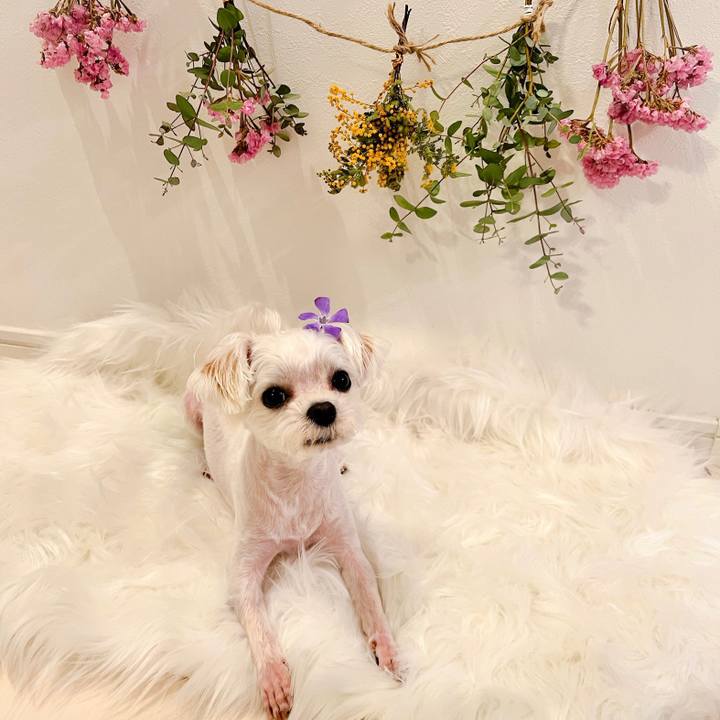 219b0b80 3529 42c8 a9f7 f2b016c889b6 1680665655067