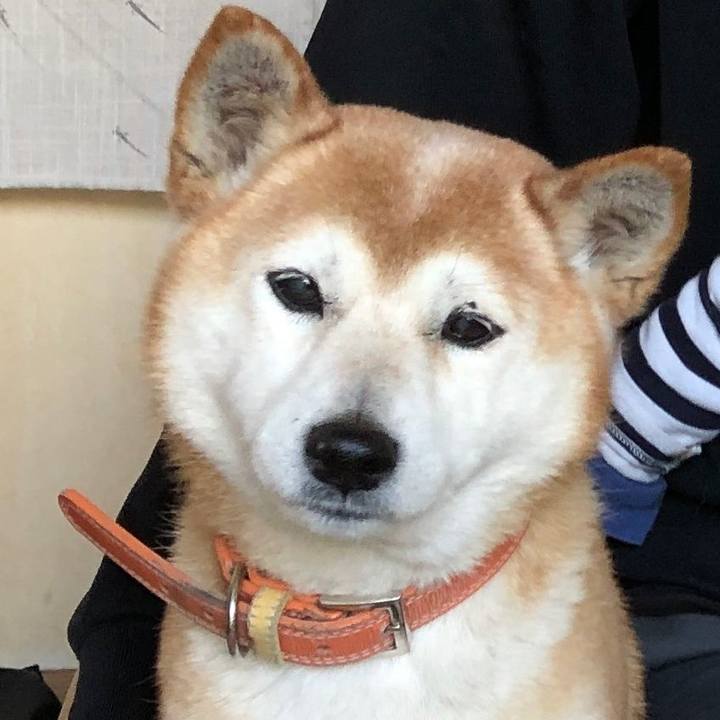 219b13f2 f981 44b7 94a5 cc14aa2ede77 1667728950964