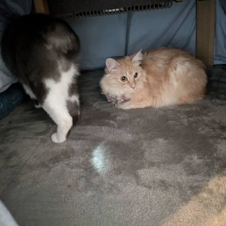 219b1404 3d8c 439a 9cfc 692f225fbb43 1734569365672