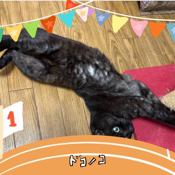 219b4925 7352 4350 92e9 c9a8c3071d64 1761372754385