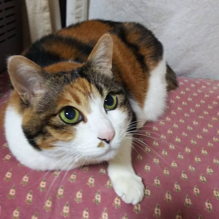 219b6936 b694 443a 8523 c6ee373c0cf0 1550146181066