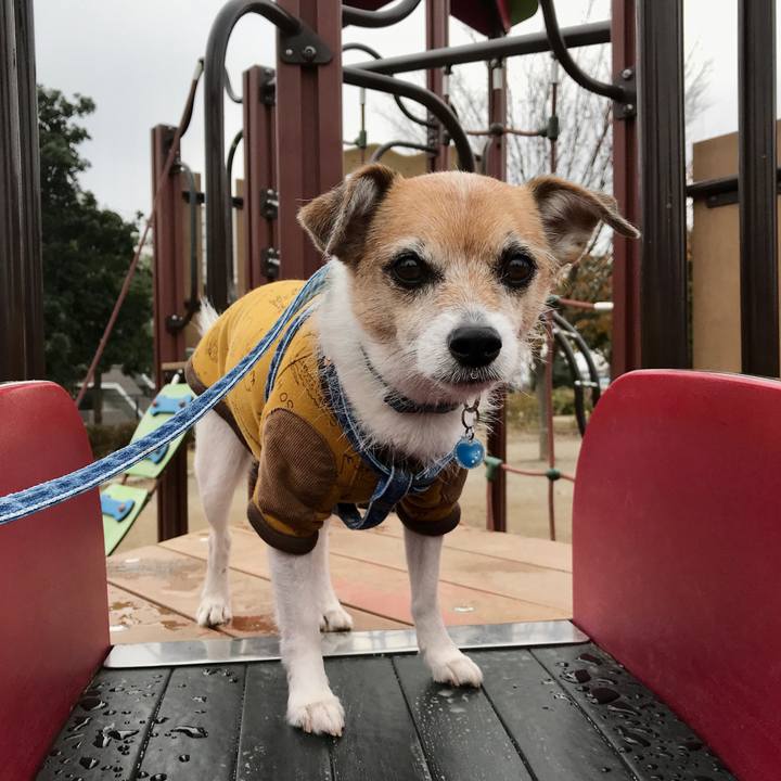 219bafe2 1af8 4323 b4b3 d00a30b7ab79 1606975811188