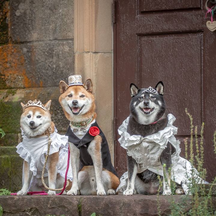 219c3dd3 5021 4bd1 ae72 4c5194b43901 1730456299274