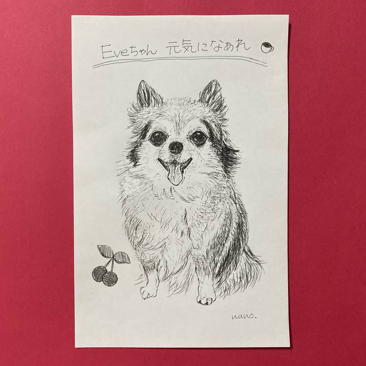 219c40a3 f20f 40c9 8b41 636ba26a27e6 1643448167700