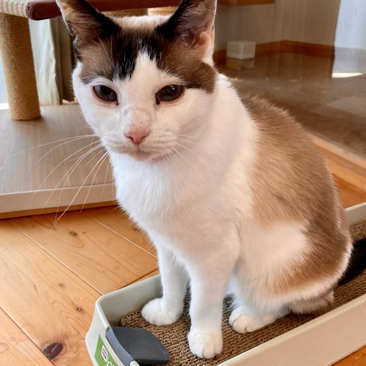 219c52cc 9e03 4218 a127 41b3b49aed22 1654739655639