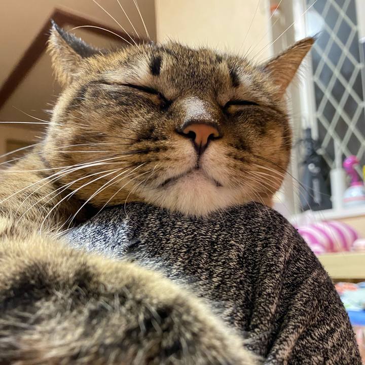 219c6040 a3ae 4832 9272 ece97af195dc 1610537967453