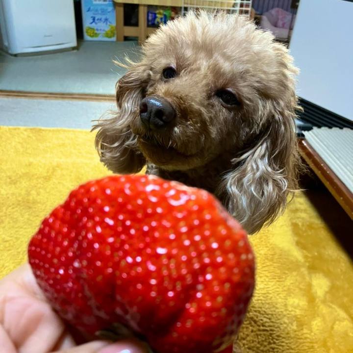 219c781e 4fd2 4de2 ac2e ee3fb902f31f 1676173967812