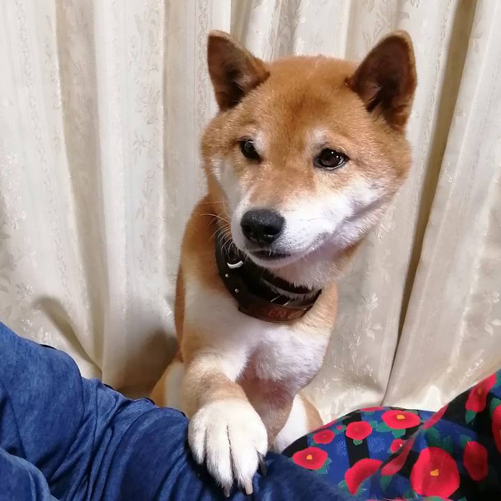 219c8510 3365 405e 912e 540a4ac40fe3 1580387676666